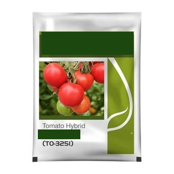 Tomato Seeds (1 Kg)