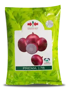 Onion Seeds (1 Kg)